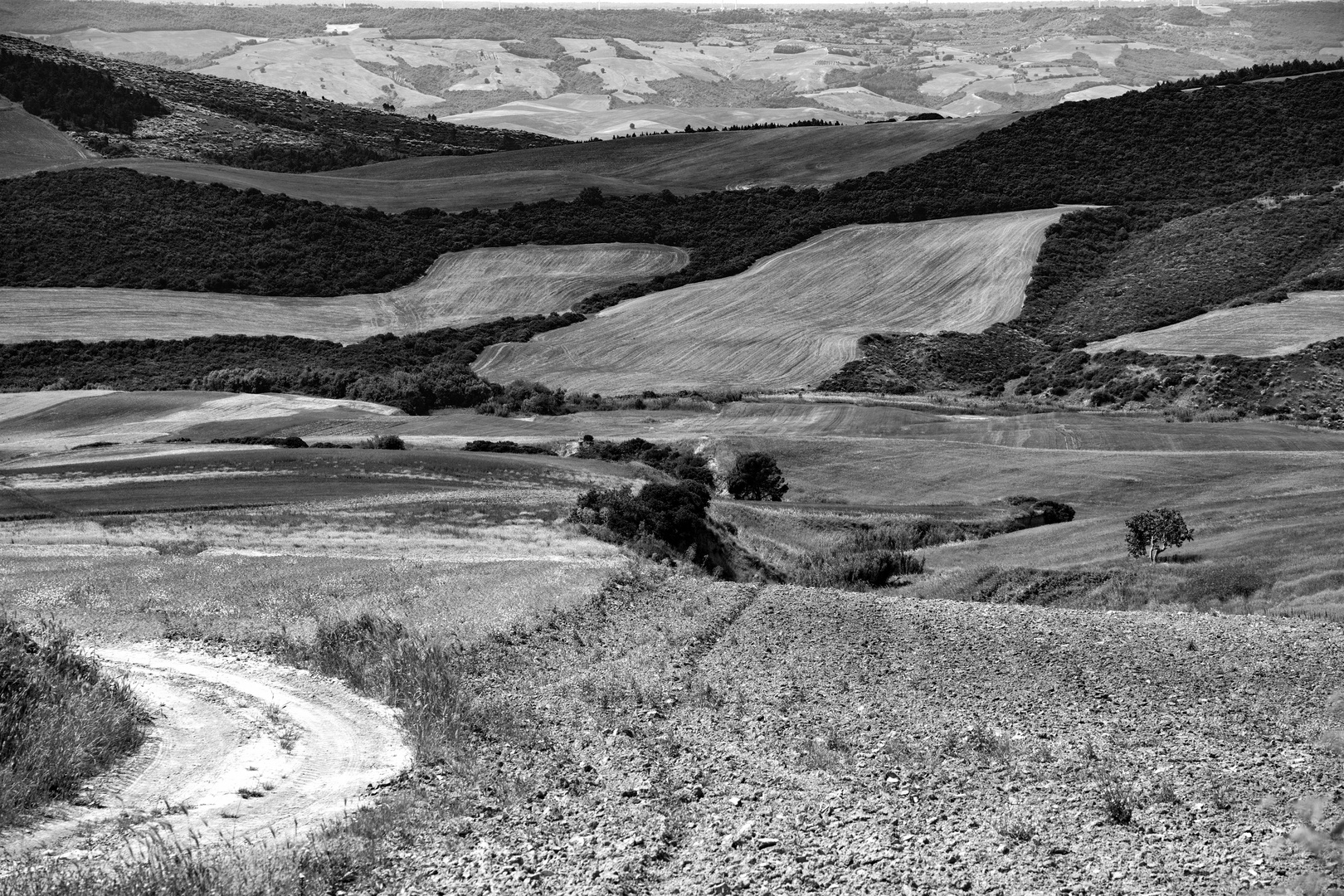 colline in bianco e nero