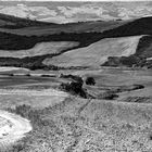 colline in bianco e nero