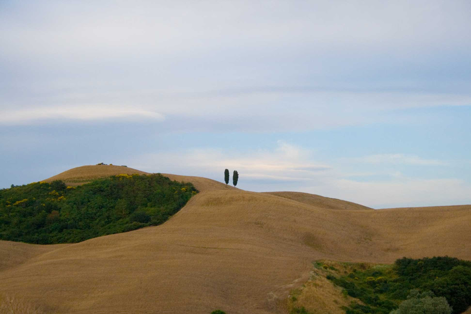 colline in toscana