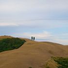 colline in toscana