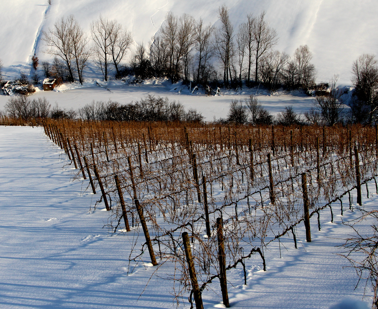 Colline innevate