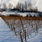 Colline innevate