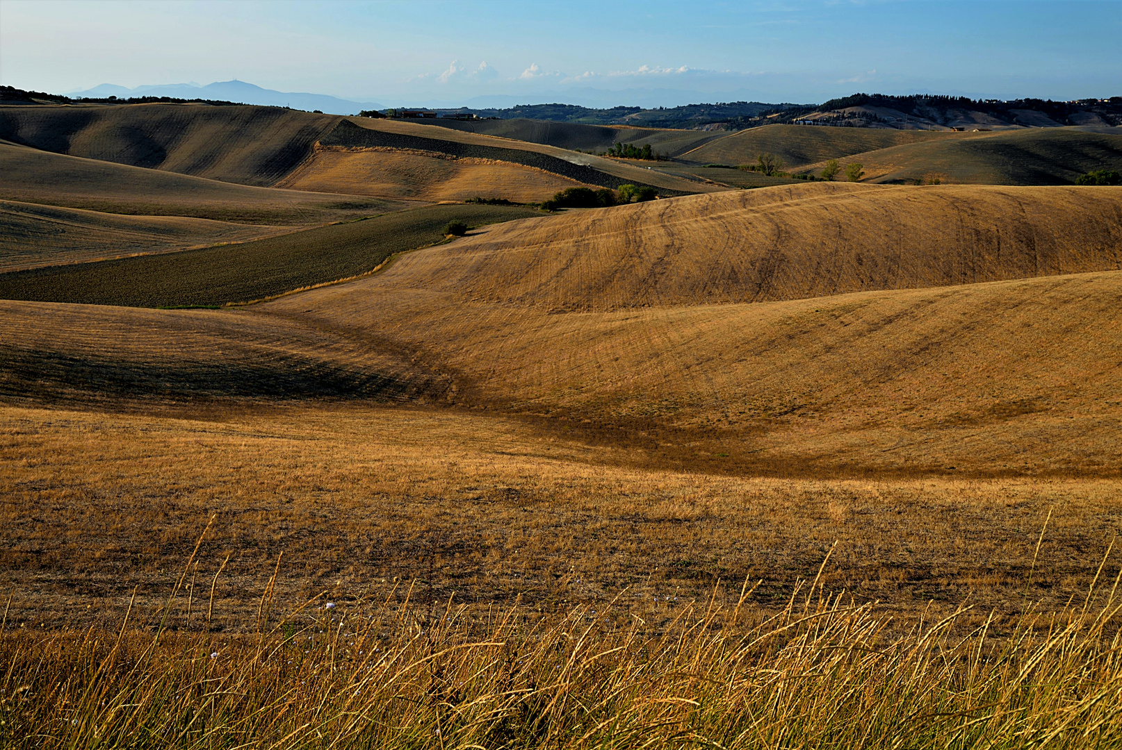 Colline Laiatico - Pisa