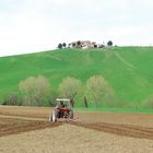 Colline Marchigiane