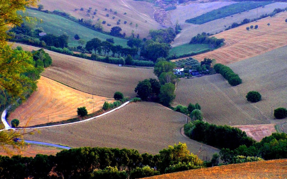 Colline Marchigiane