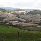 Colline marchigiane