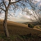 COLLINE MARCHIGIANE