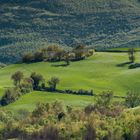 Colline Marchigiane