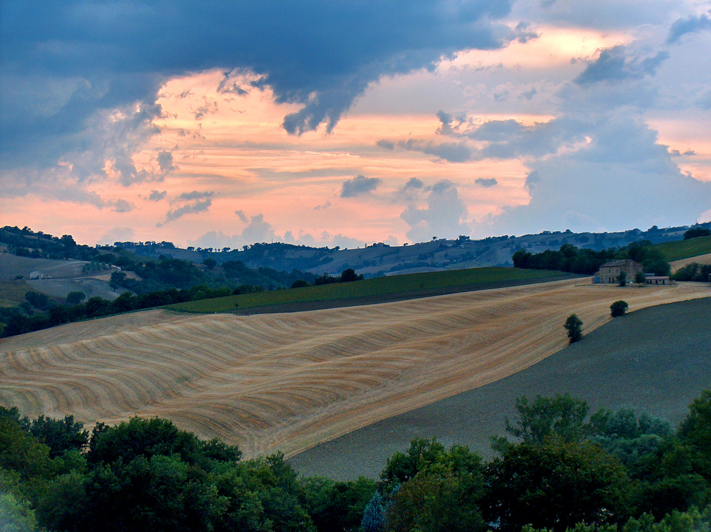 Colline Marchigiane Coltivate