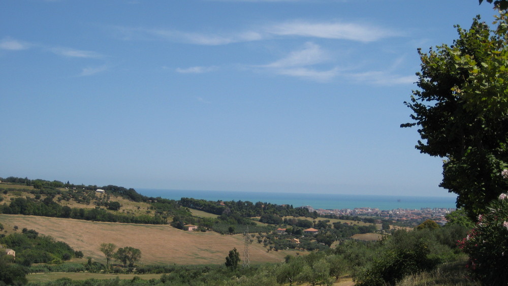 Colline marchigiane