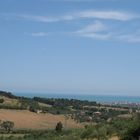 Colline marchigiane