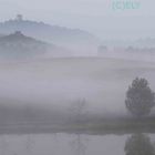 colline nella nebbia.