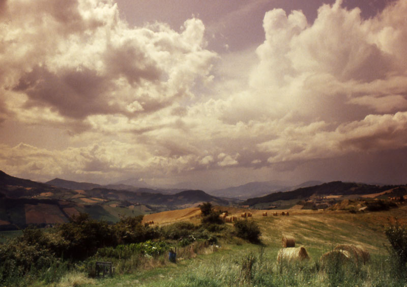 colline parmensi