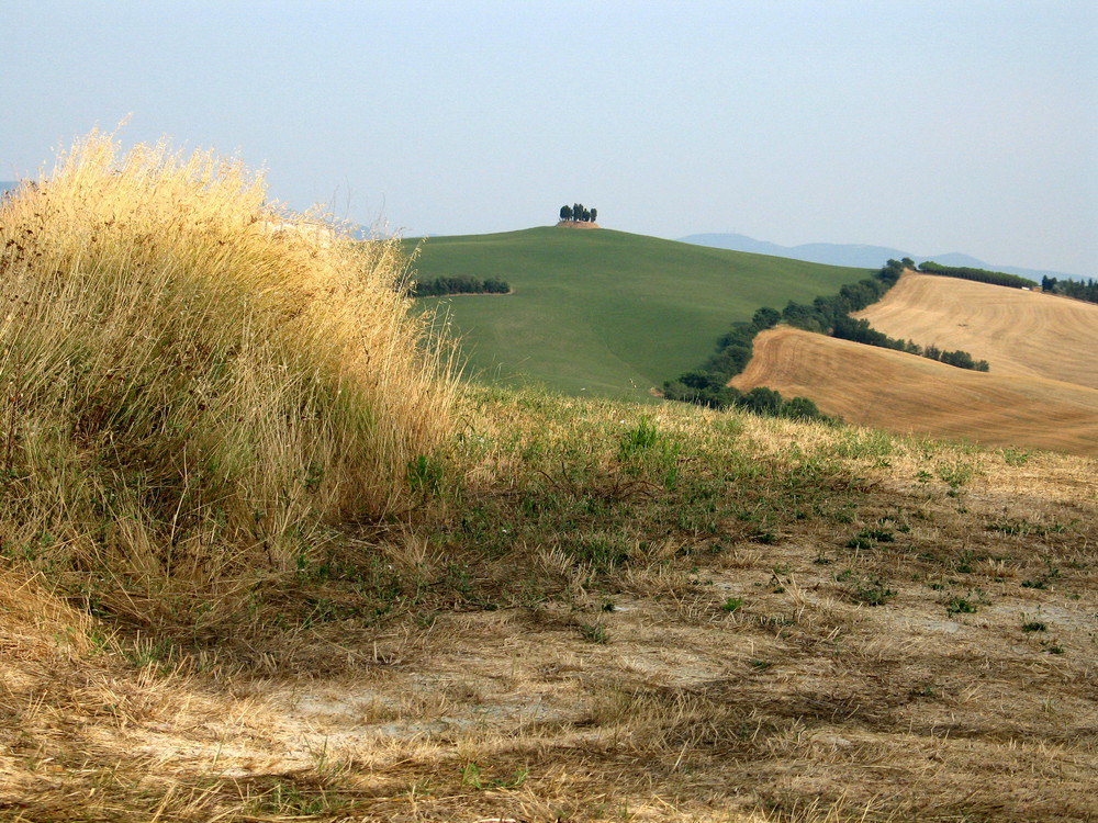 colline pisane