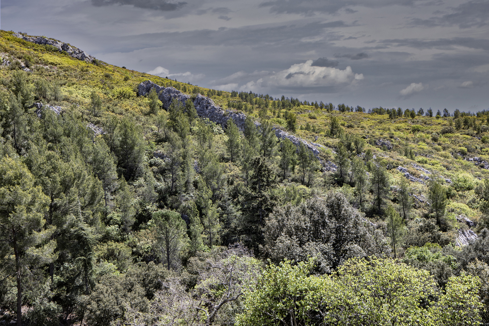 Colline provençale :lumière d'orage 