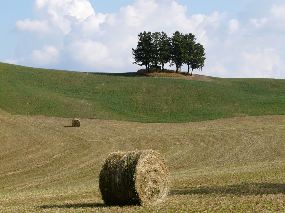 colline romagnole