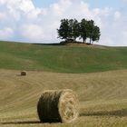 colline romagnole