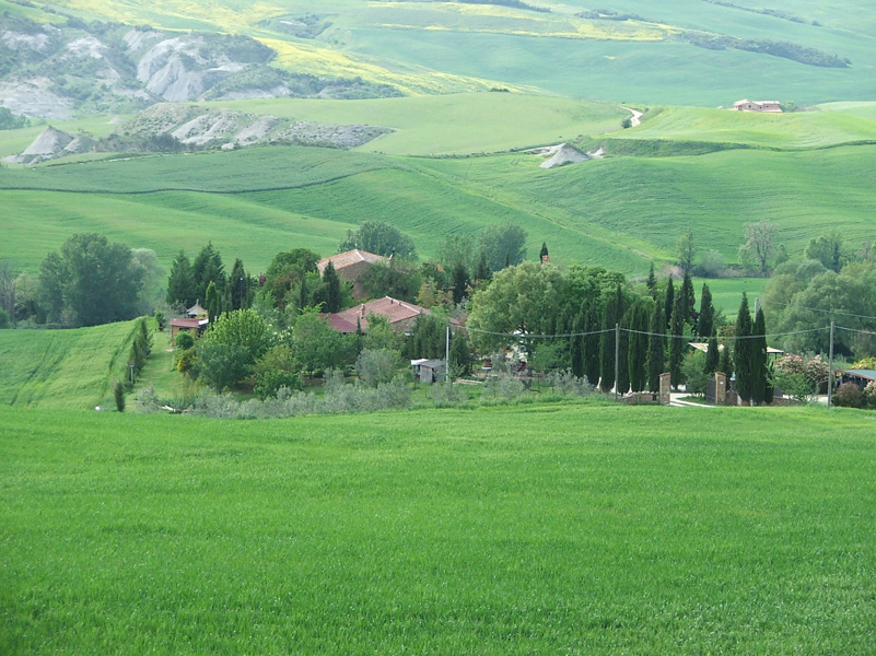 colline senesi