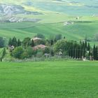 colline senesi