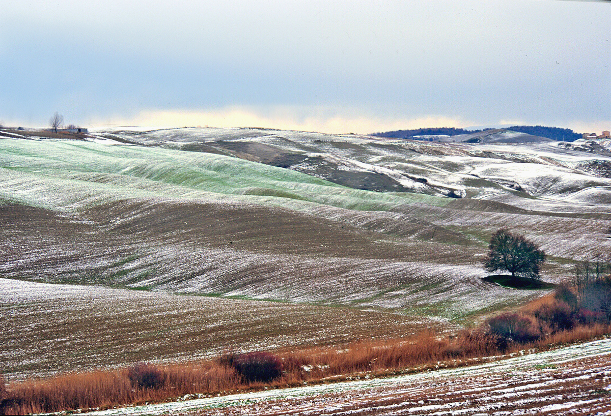 Colline senesi