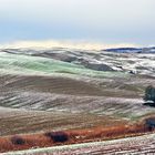 Colline senesi