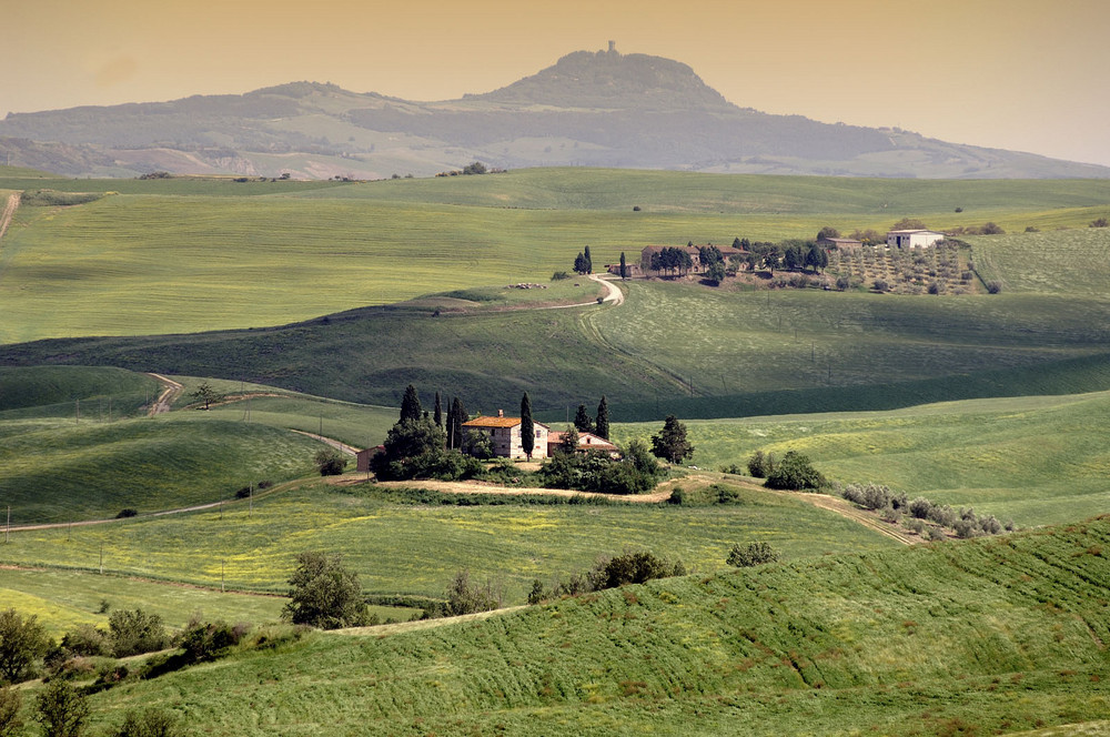 Colline senesi