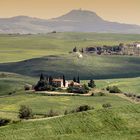 Colline senesi