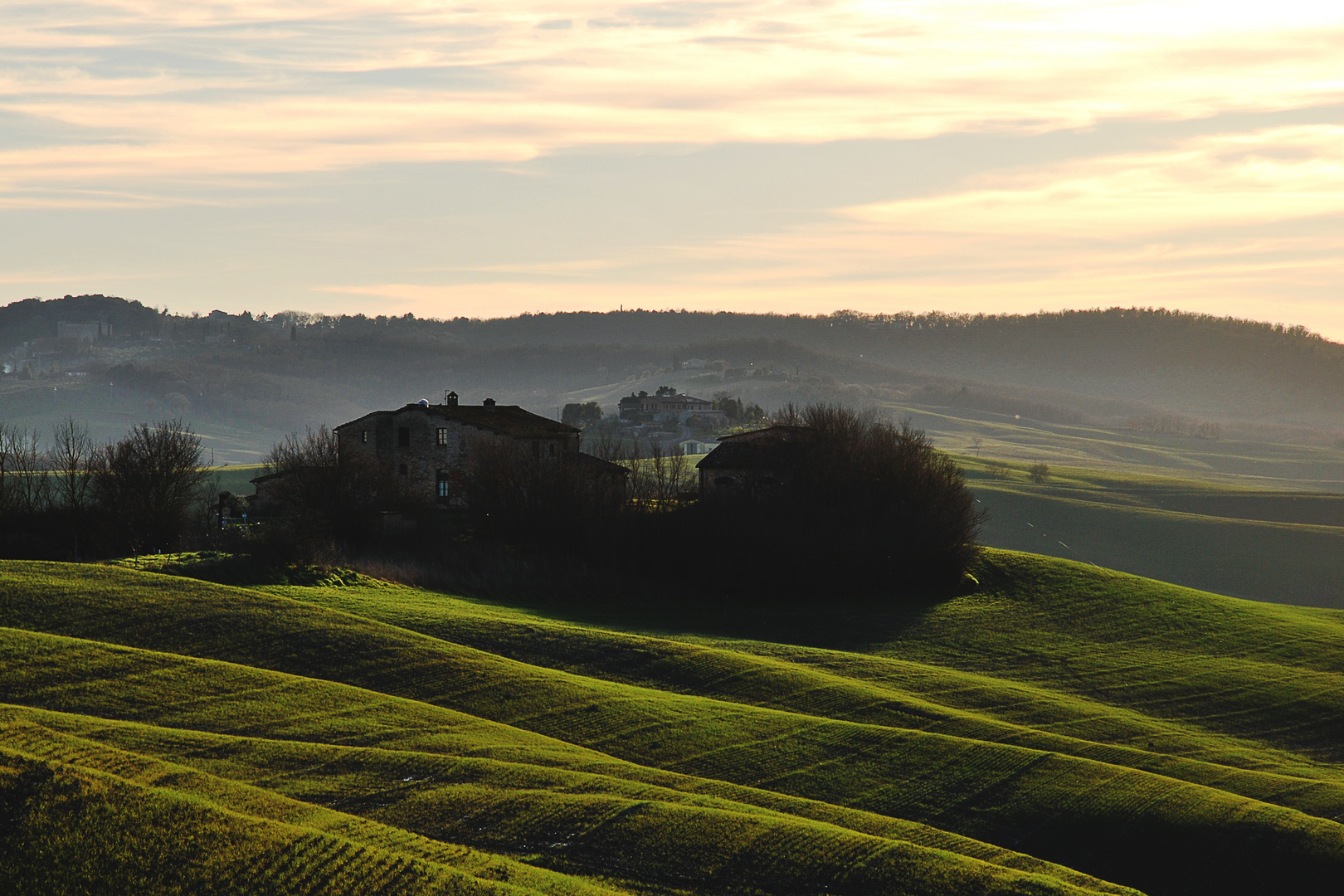 Colline Senesi