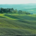 Colline senesi