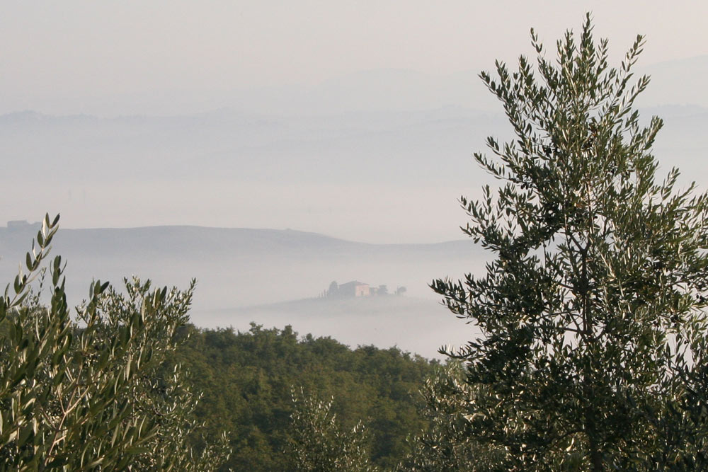 Colline Senesi