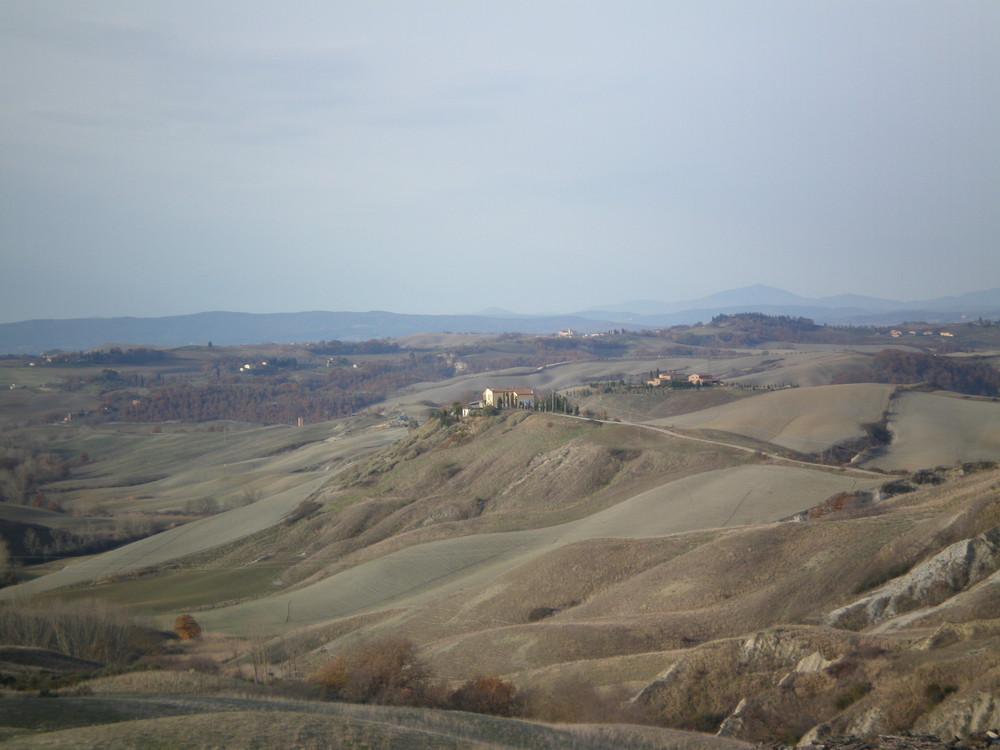 colline senesi