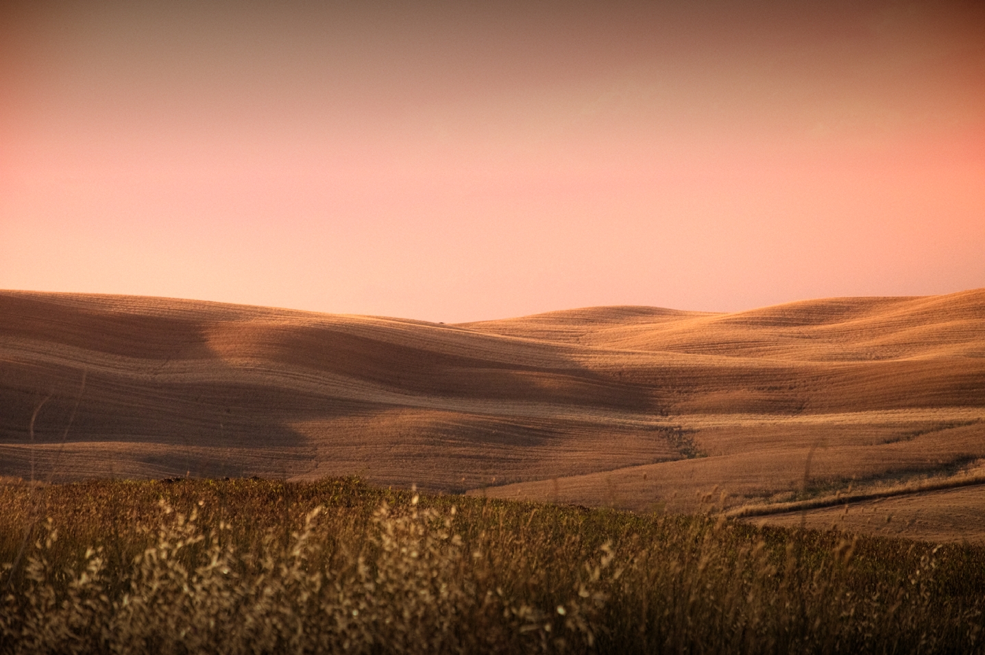 Colline Senesi