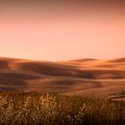 Colline Senesi