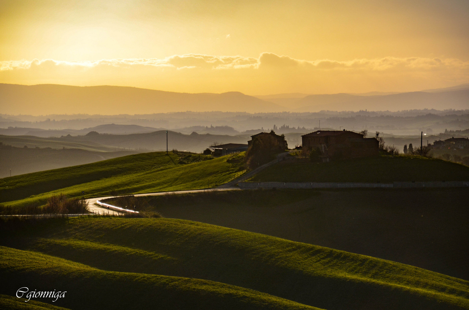 Colline senesi