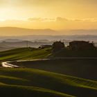 Colline senesi