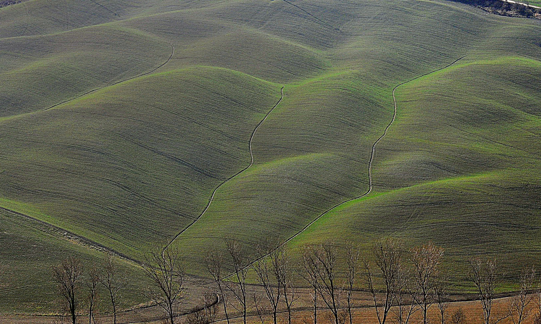 Colline senesi - Colori di Marzo