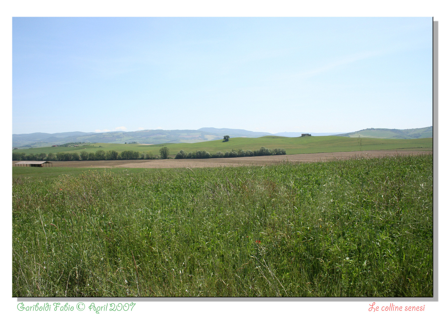 Colline Senesi