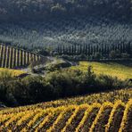 Colline senesi in autunno - Chianti 1