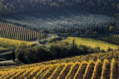 Colline senesi in autunno - Chianti 1