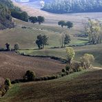 Colline senesi in autunno - Crete 1