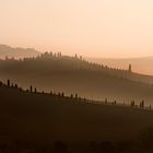 colline senesi in autunno - Crete 3