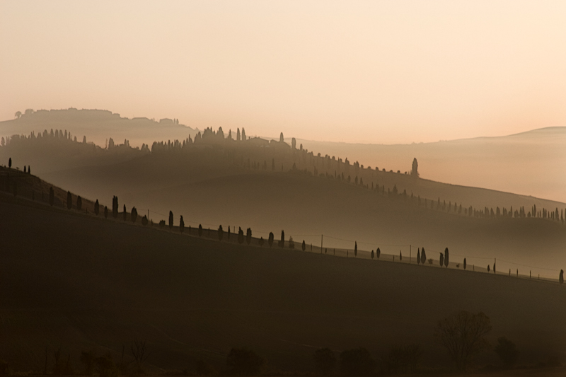 colline senesi in autunno - Crete 3