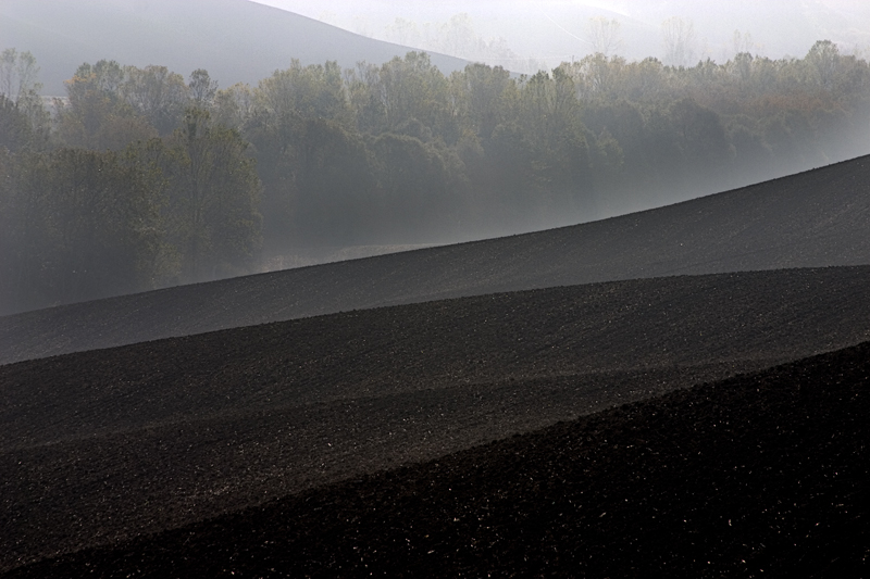 colline senesi in autunno - Crete 4