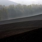 colline senesi in autunno - Crete 4