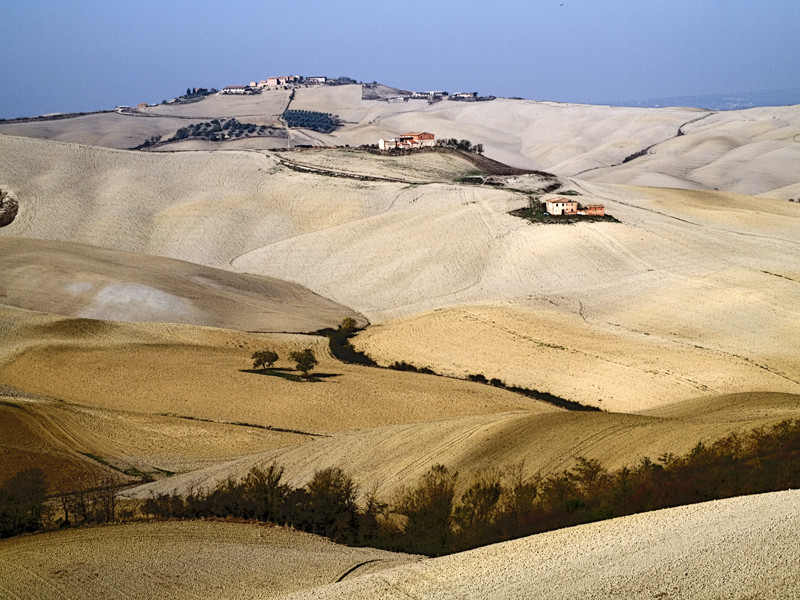 colline senesi in autunno - Crete 7