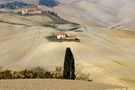 colline senesi in autunno - Crete 9 von Massimo Anselmi 