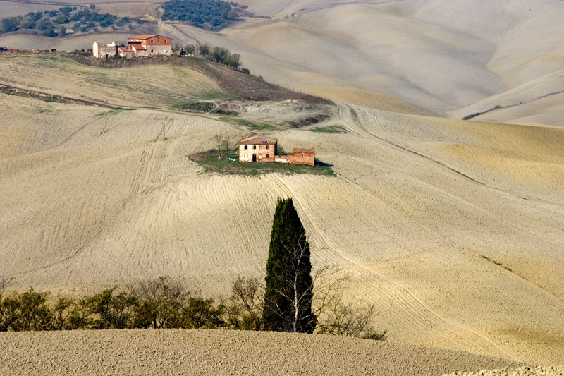 colline senesi in autunno - Crete 9