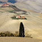 colline senesi in autunno - Crete 9