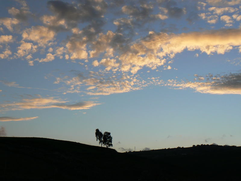 colline siciliane al tramonto