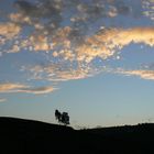 colline siciliane al tramonto